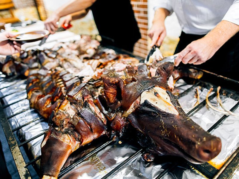 grilled pig being served