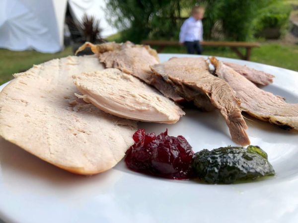 Turkey on a plate with cranberry sauce